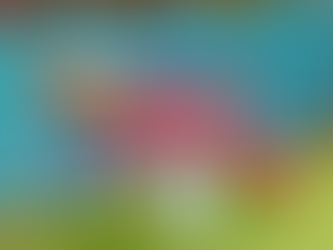 【職涯無限可能】兼教職盡嘗演戲主持考巴士牌 最想做哪份工?斜槓青年:不如問想要怎樣的人生