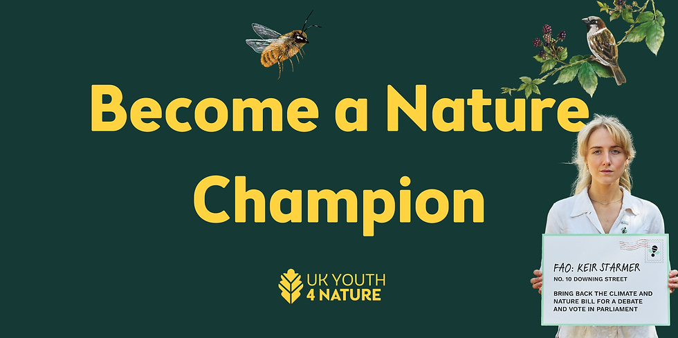 _Open letter graphics (2).png