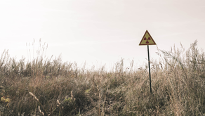 The Trouble With Glyphosate: The Cost of Killing Weeds