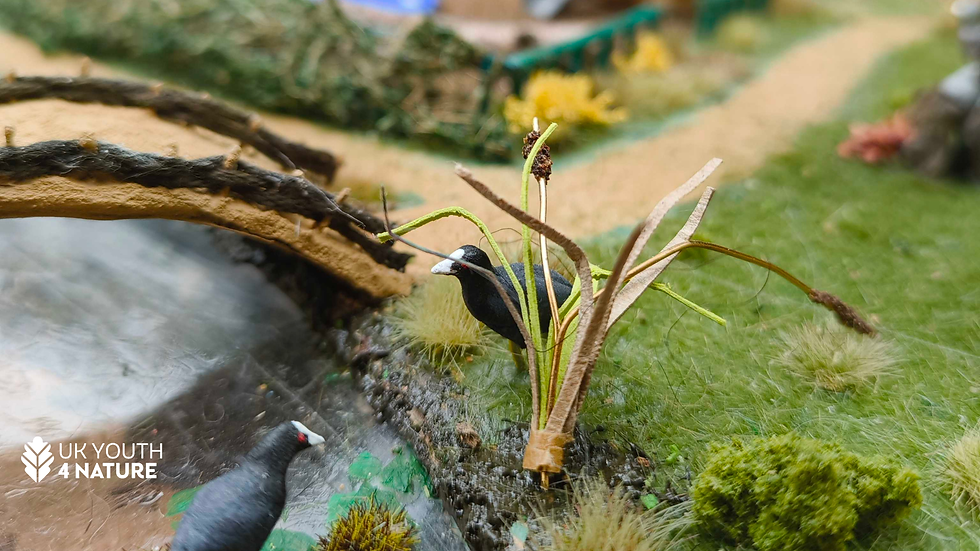 A photo of a model illustrating a future world without pesticides. Scene shows two coots beside rushes and a bridge over water.