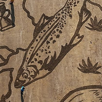 Salmon Sand Drawing
