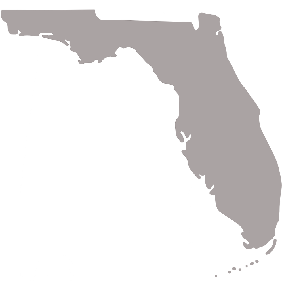 Legal, Regulations, Notary Near Me, Notary Public, Virtual, Online, RON, Remote Online Notary, FL, Florida Remote Online Notary Laws