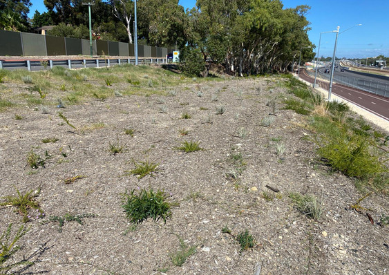 Mitchell Freeway 3