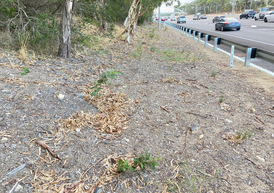 Mitchell Freeway 2