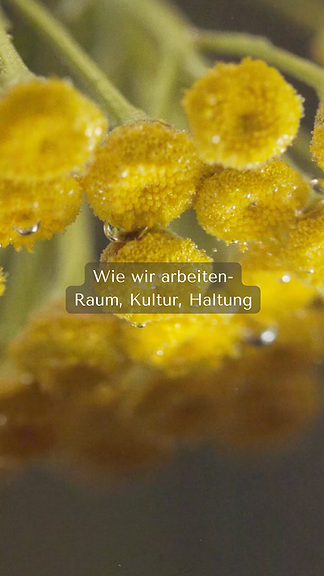 Arbeitskultur und Philosophie bei Mia Capelli Leipzig - Non-Toxic Salon