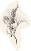 Decorative leaf illustration.