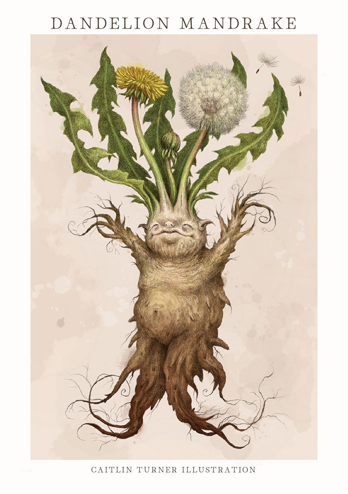 Thumbnail: Dandelion Mandrake print
