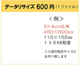 データリサイズ