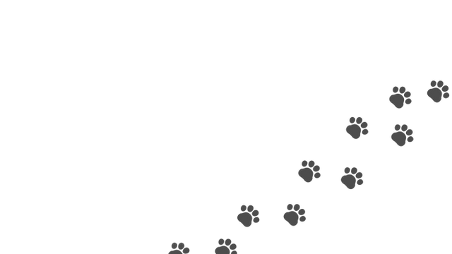 和歌山県和歌山市 動物病院 石田イヌネコ病院