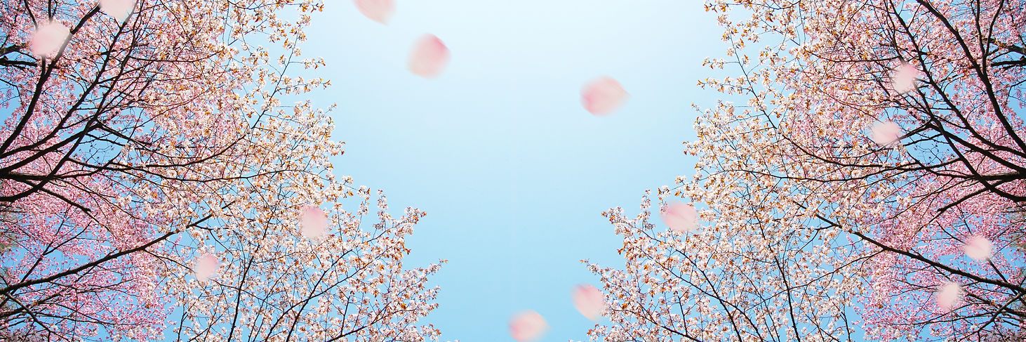 AdobeStock_98935569.jpeg