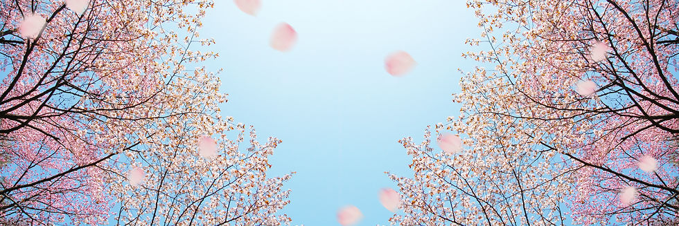 AdobeStock_98935569.jpeg