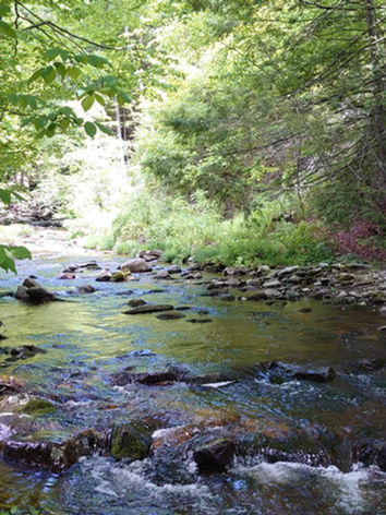 Roaring Brook.jpeg