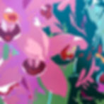 Orchids 2