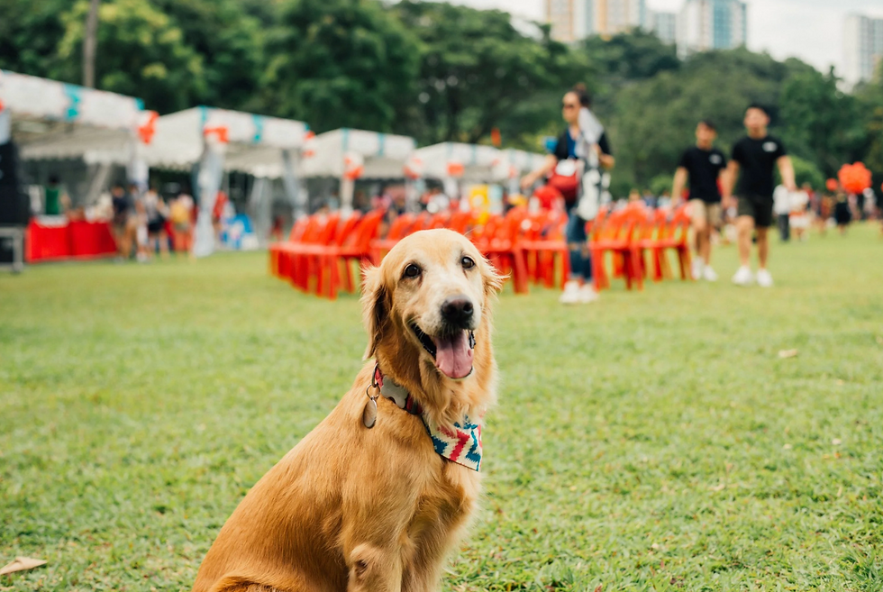 Tail-Wagging Times in May