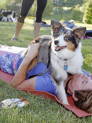 Sniffing Out Fun With Your Pup This June