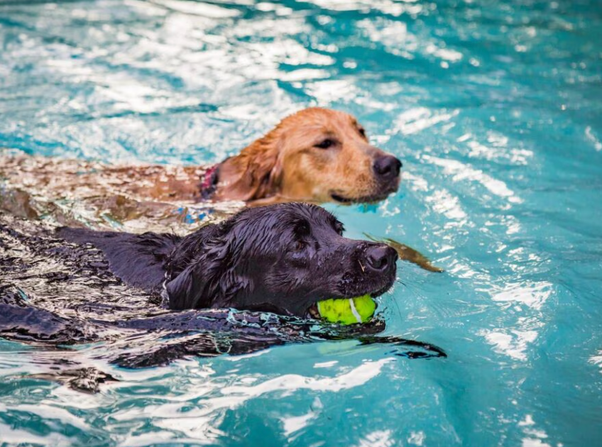 Water Safety Tips for Beginners
