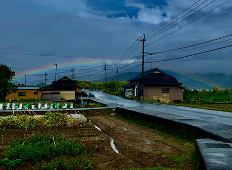 Somewhere Over The Rainbow...