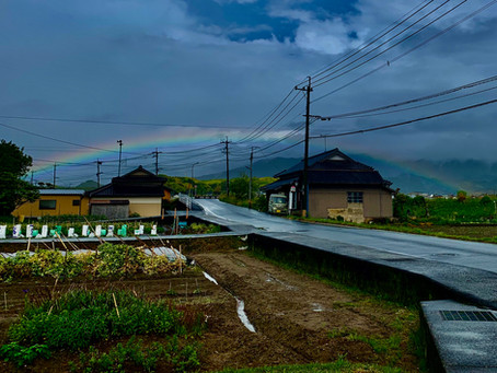 Somewhere Over The Rainbow...