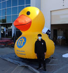 Giant inflatable duck for event branding