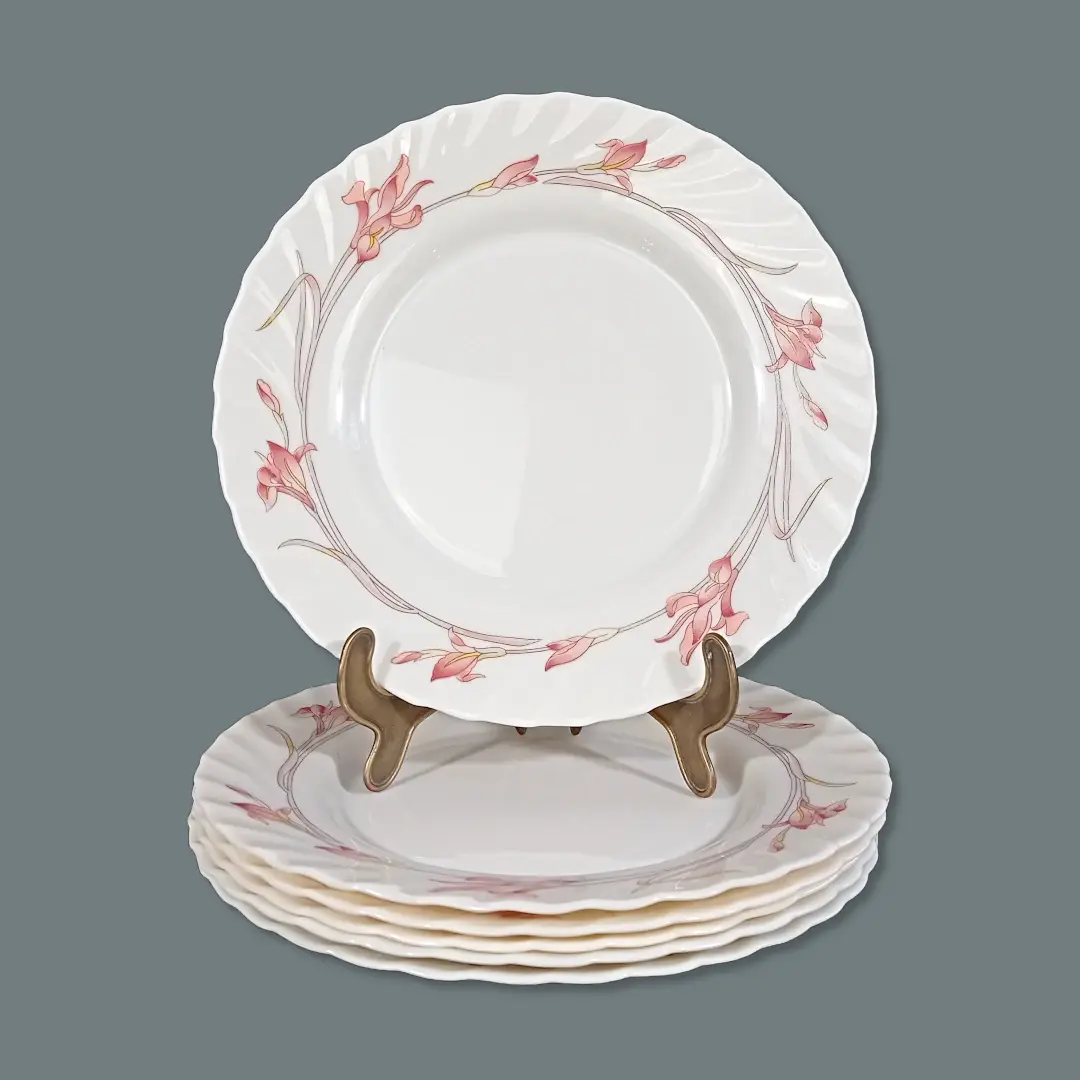 Ensemble de 6 assiettes plates Arcopal Iris roses, vue de l'ensemble