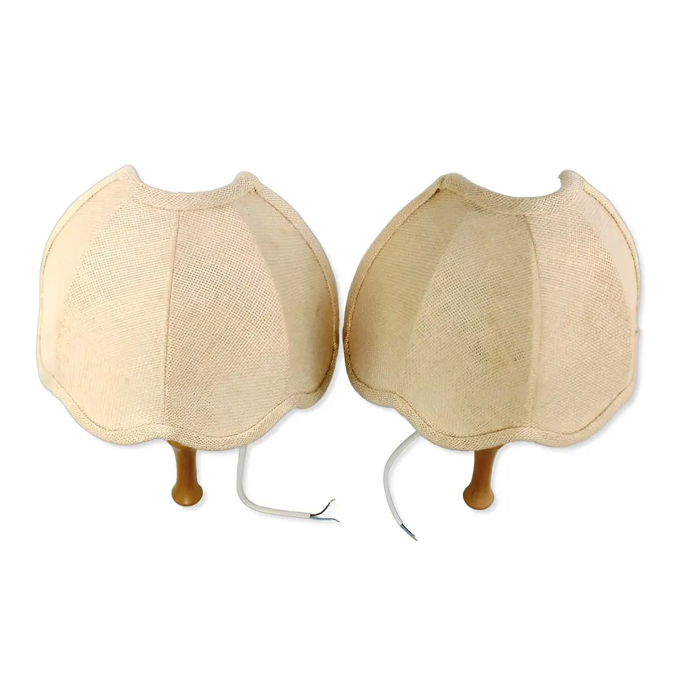 Paire d’appliques murales vintage toile de jute beige vue de face
