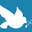 Writer: Shalom Free Clinic Intern
