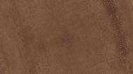 background_edited.png