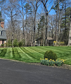 Professional lawn mowing and striping service in Chesterfield, VA