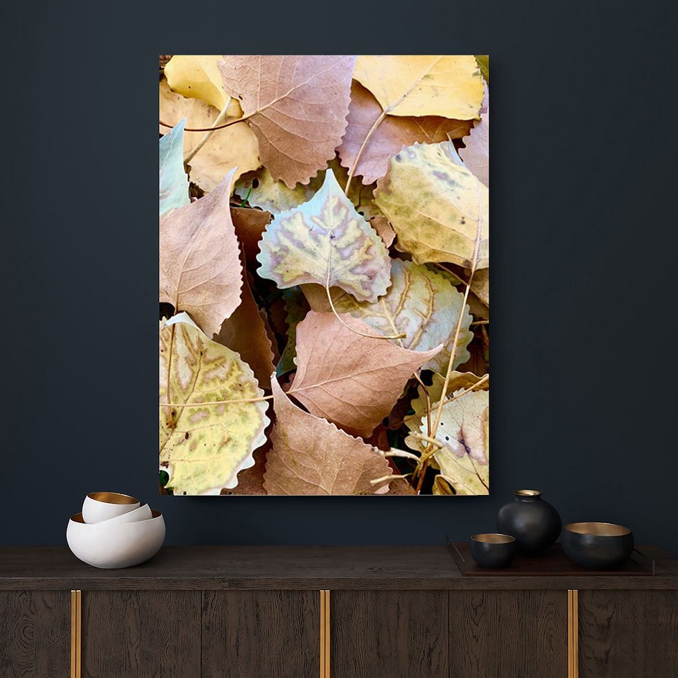 Thumbnail: Fallen Big Leaves Collection Wall Art Canvas 16x20