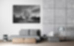 B & W Sole Autumn Apple Tree Wall Art Canvas 20x16