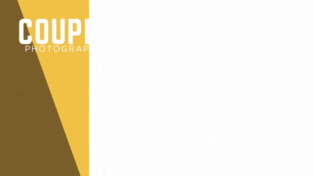 Blog Banner for Website Content-4.gif