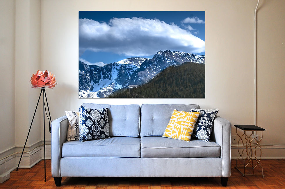 Thumbnail: Snow Covered Mountain with a huge tree line in Echo Lake Park