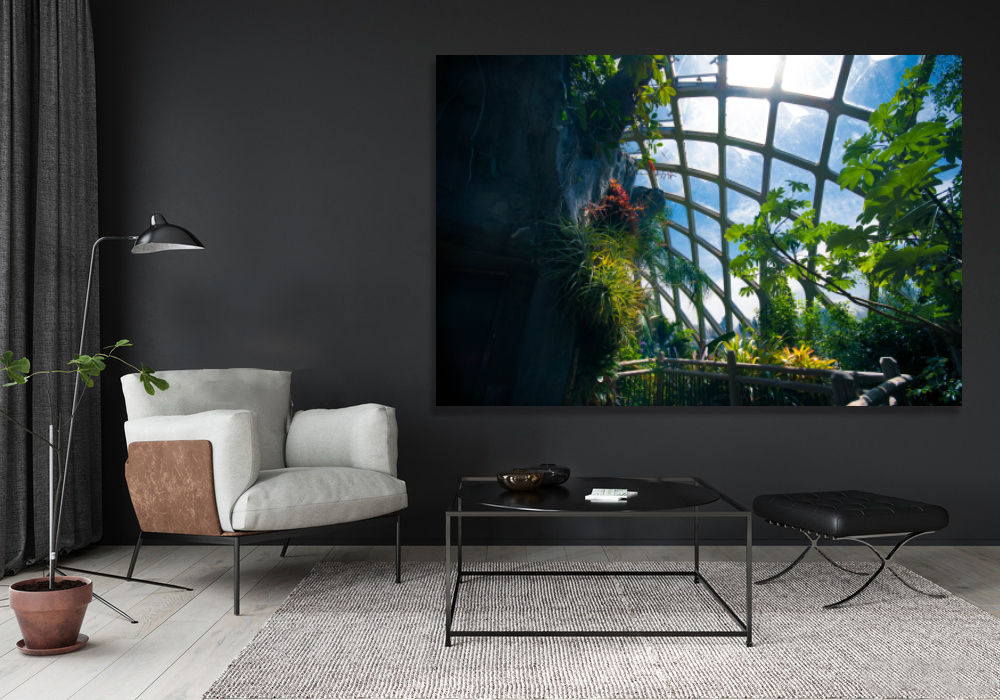 Denver Botanic Gardens Vibrant Nature Wall Art Canvas 20x16