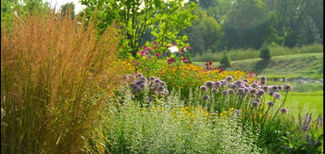 Landscape Plantings.jpeg