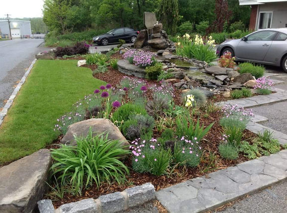 Front Yard Perennials and Drive.jpeg