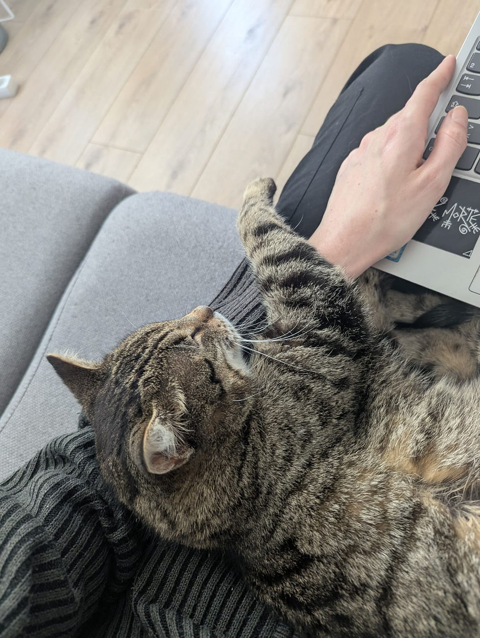 WhatsApp Image 2026-02-04 at 20.21.44 (1).jpeg