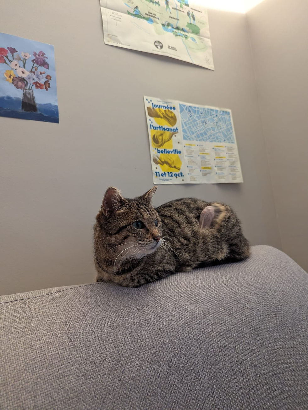 WhatsApp Image 2026-02-04 at 20.21.44.jpeg