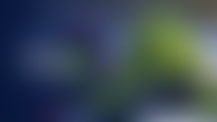Little Rex Dino Party Theme  | Kids Party Themes