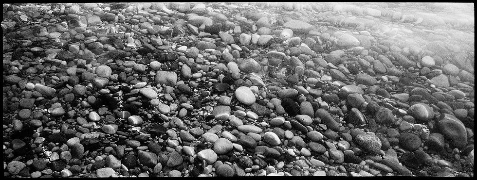 Hasselblad xpan 35mm film, black and white panorama of Petoskey stones