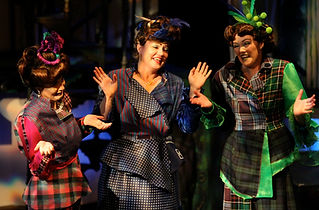 Cindereela's Stepmother and stepsisters