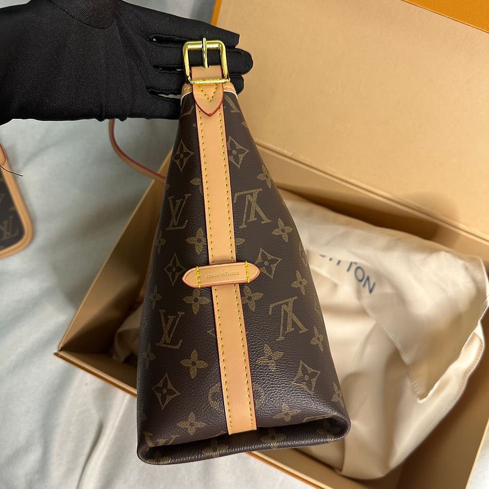 縮圖：LV CarryAll PM
