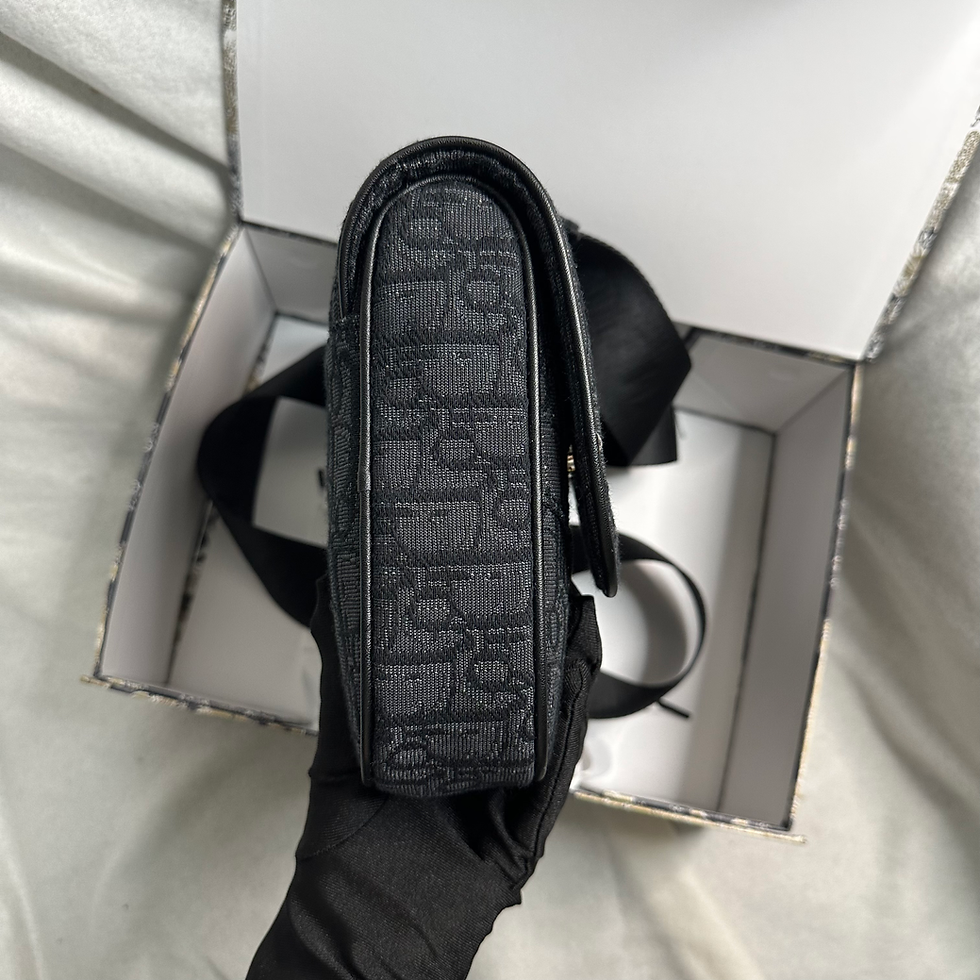 縮圖：Dior Saddle 馬鞍包