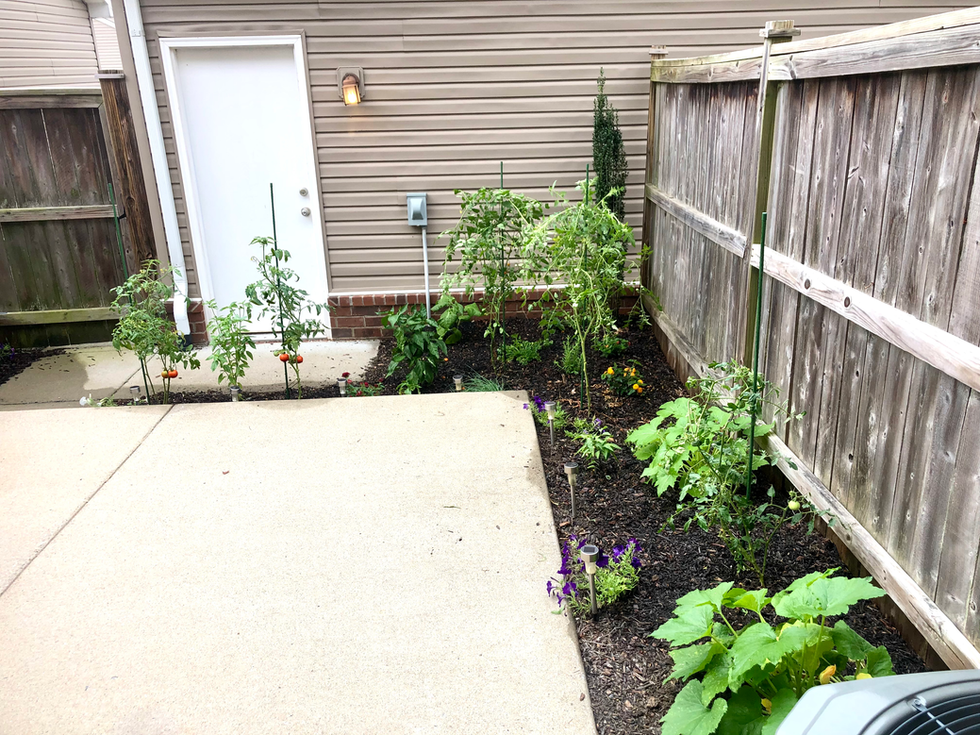 Small space Vegetable Garden