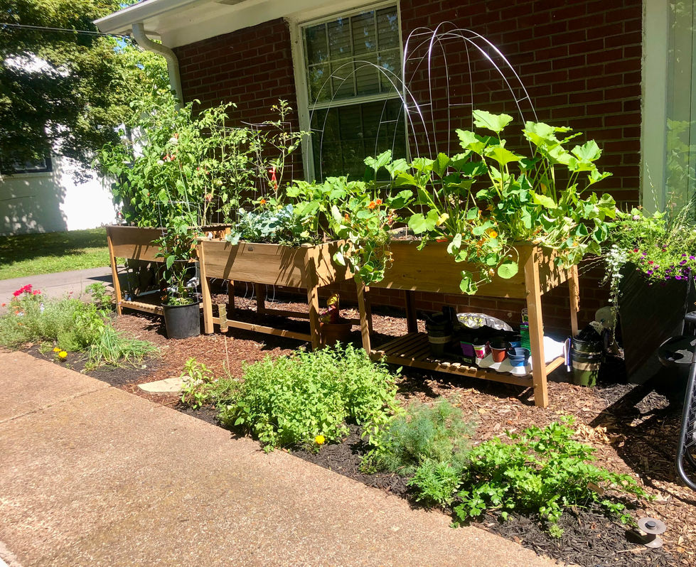 Raised Planters, and Raised Bed plantings