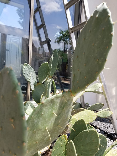 20180724_125205.jpg