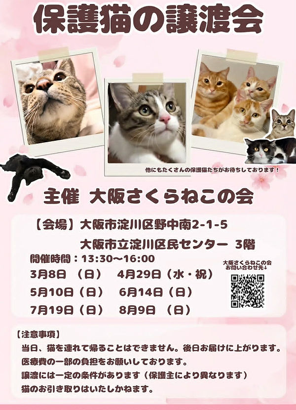 3e9b75f8-ec95-4d42-941b-cf9b944b23af.jfif