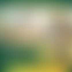 Why Chennai Trusts CSS Financial Solutions