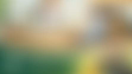 Why Chennai Trusts CSS Financial Solutions