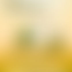 New Financial Year 2026 Started – Are You Ready?