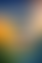 Are You Properly Insured?